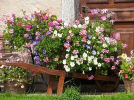 a flower cart with flowers photo