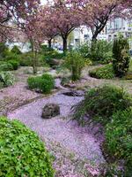 a garden with pink flowers and a stream photo