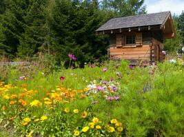 a small wooden house photo