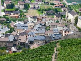 a vineyard in the background photo