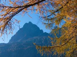 a mountain with trees and a blue sky photo