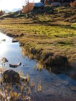 a small stream in the middle of a field photo