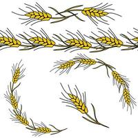 Corners, frames and borders made of spikelets, decorative elements made of cereals vector