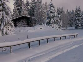 a wooden fence photo