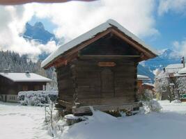 a wooden house photo