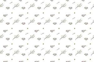 set of dry flower arrange as seamless  pattern background vector