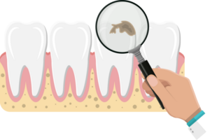 dentiste avec grossissant verre examine les dents png