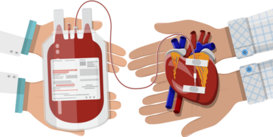 Bag with blood and hand of donor png