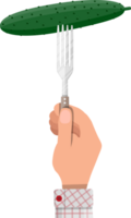 Cucumber vegetable on fork in hand png