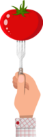Tomato vegetable on fork in hand png