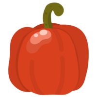 illustration of a sweet pepper png