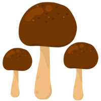 uppsättning av svamp illustration png
