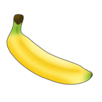 Aquarell Banane Karikatur Zeichnung png