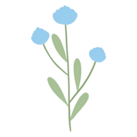 blauw bloem bloesem png