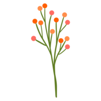 Orange fleur fleur png