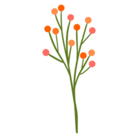 oranje bloem bloesem png