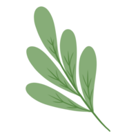 grüne Blattnatur png