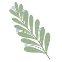 azul flor Flor png