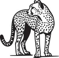 leopardo bosquejo dibujo. vector