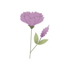 esthetisch bloemen geïsoleerd Aan PNG transparant achtergrond