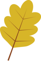 Autumn leaves plants icon png