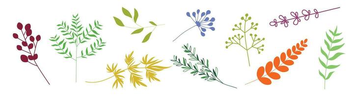 Set of branches with leaves. Twigs for the design of cards, banners, posters. vector