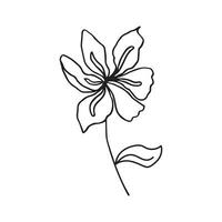 Tropical flower in Doodle style. Hand drawn flower on a white background. vector