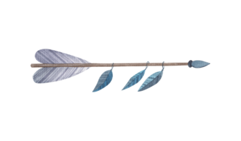 mano pintado acuarela boho flechas botánico acuerdo. y pluma png