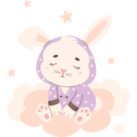 en train de dormir lapin sur nuage png