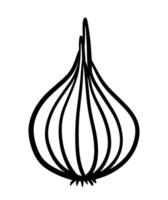 chalote rojo cebolla en dibujo negro línea icono logo vector animado dibujos animados ilustración