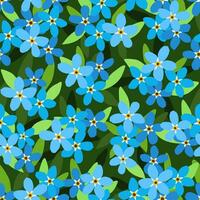 Forget me not seamless pattern Vector