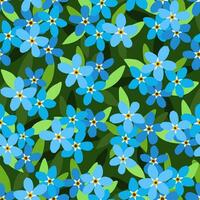 Forget me not seamless pattern Vector