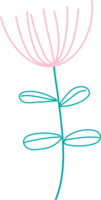 Hand drawn flora illustration, Transparent background. png