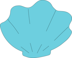 Shells doodle illustration on transparent background. png