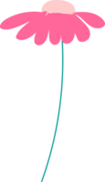 mano dibujado flora ilustración, transparente antecedentes. png