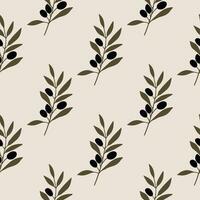 Olive tree branch with olives. vector