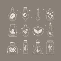 Magic bottles in doodle style. vector