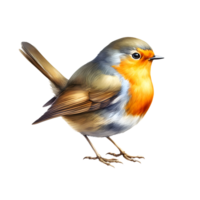 AI generated A lively Robin bird on a transparent background png