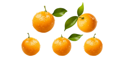 set of orange fruit, transparency background png