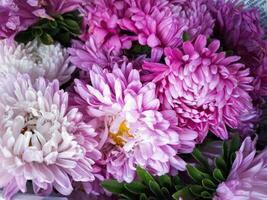 beautiful chrysanthemum flowers in the market photo