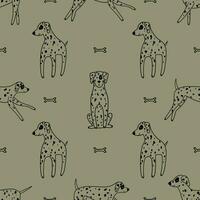 Dalmatians seamless pattern in hand-drawn style. vector