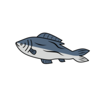 thon poisson illustration icône png