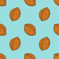 Pattern with walnuts hand drawn on blue background. vector