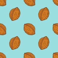 Pattern with walnuts hand drawn on blue background. vector