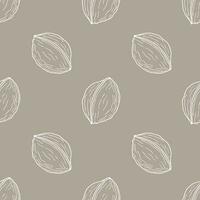 Pattern with white walnuts contour hand drawn on pastel brown background. vector
