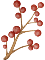 Autumn Red Holly png