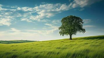 ai generado ambiente césped eco antecedentes foto