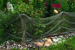 landscape design in a seaside village, a flower bed fence made from an old fishing net and a decorative border made of sea shells photo