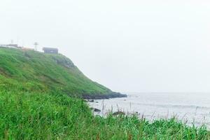 blurred seashore landscape, focus on near grass photo