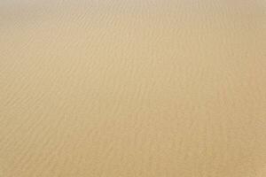 natural background, sandy desert surface with dunes photo